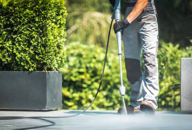 Best Sidewalk and Walkway Cleaning  in La Huerta, NM